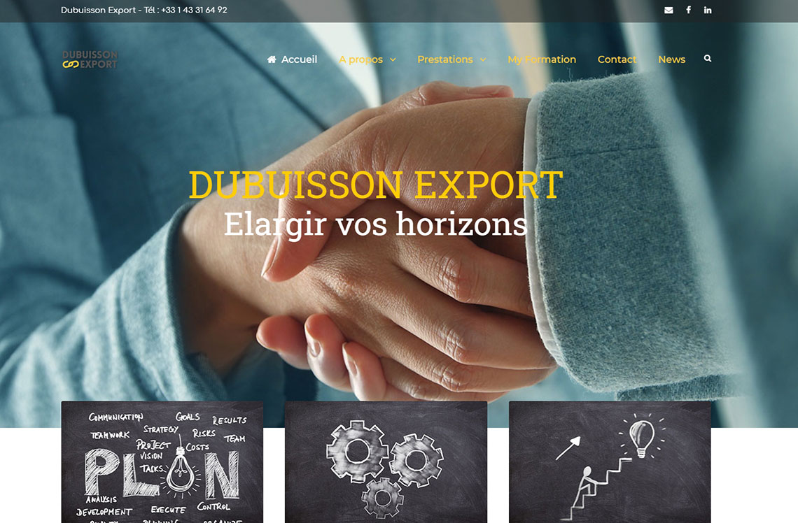 Création du site Dubuisson Export